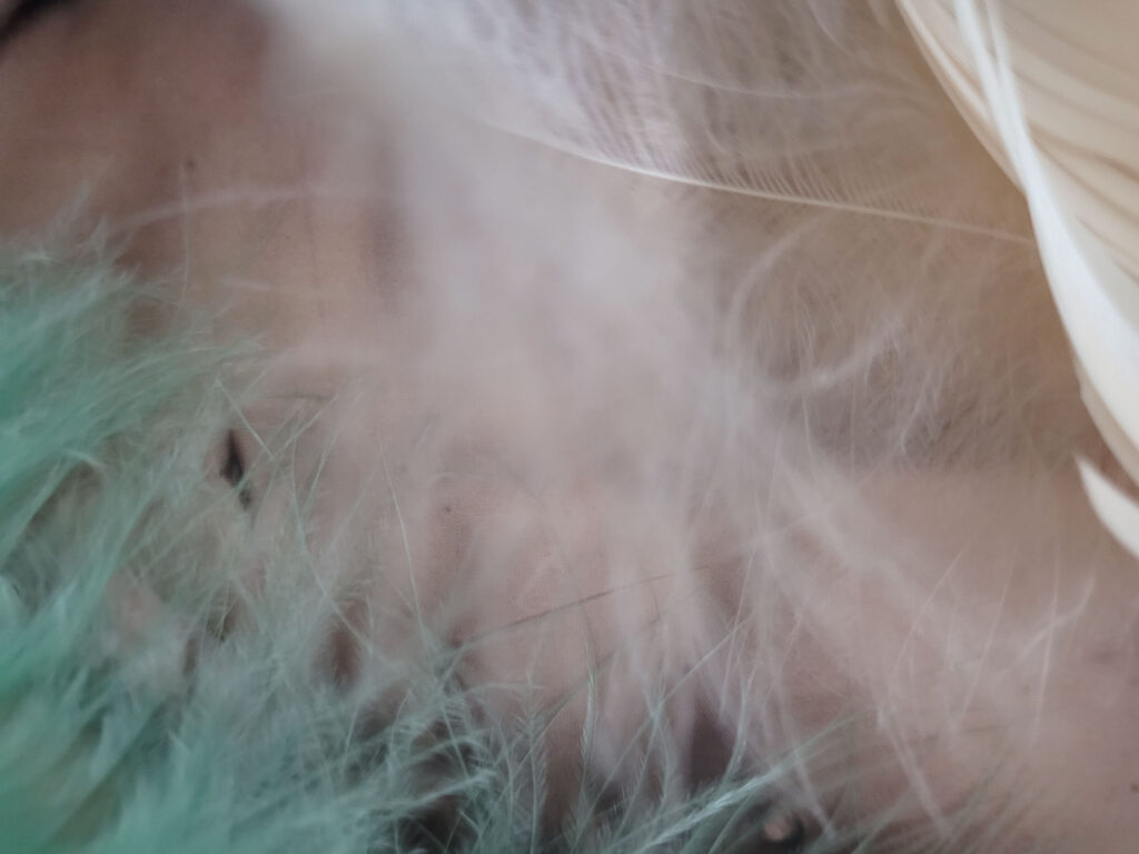 Giovanni Bosmans | Sensuality Holistic | Beyond Yoga and Tantra | Books | YouTube Channel